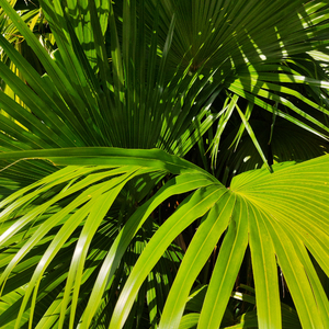 强迫班花🌸做❤️视频
